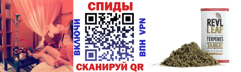 купить наркотики цена  Саянск  БУТИРАТ жидкий экстази 