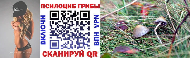 Галлюциногенные грибы Psilocybine cubensis Саянск