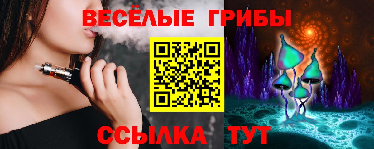 Псилоцибиновые грибы Cubensis  Вход с VPN  Саянск 
